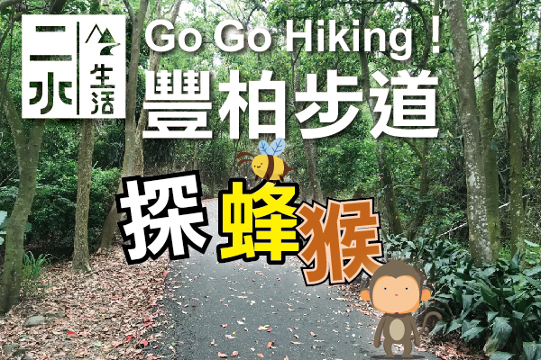二水生活假期｜豐柏步道  探蜂猴  生態輕鬆遊