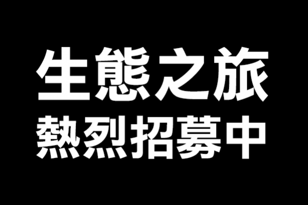 二水生活假期 | 豐柏生態步道探蜂猴